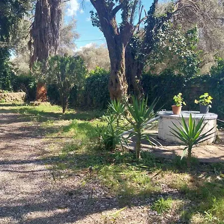 Terpi * Lefkada City
