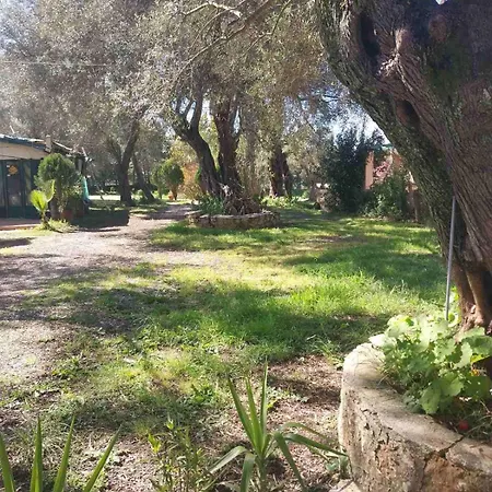 Terpi * Lefkada City